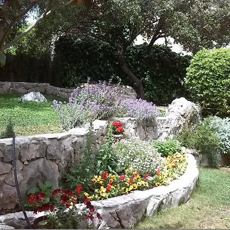 Tomi * Brodarica (Sibenik-Knin)