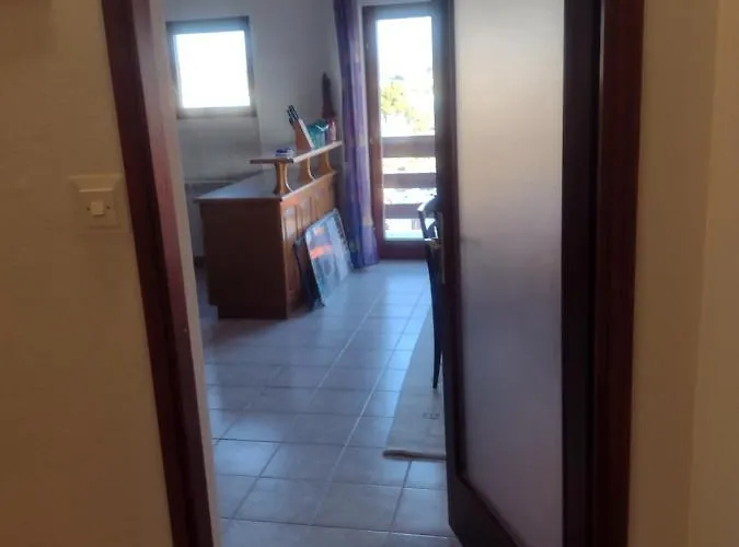 Tomi 布罗达里卡