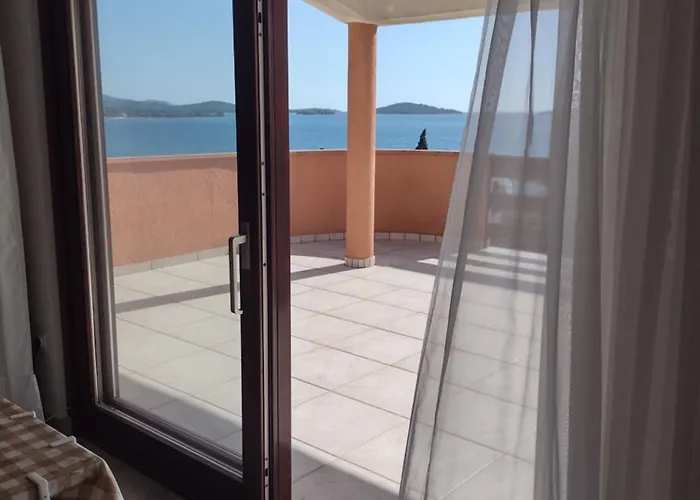 Tomi * 布罗达里卡